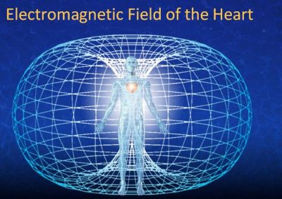 electromagnetic-field-of-the-heart1.jpg